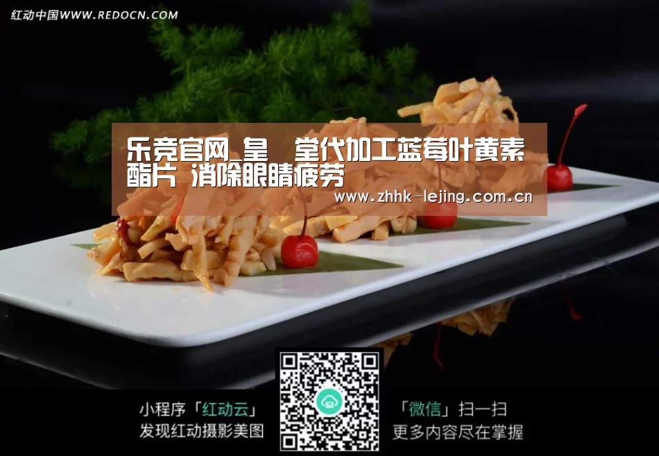 乐竞官网_皇菴堂代加工蓝莓叶黄素酯片 消除眼睛疲劳(图2) 乐竞体育
