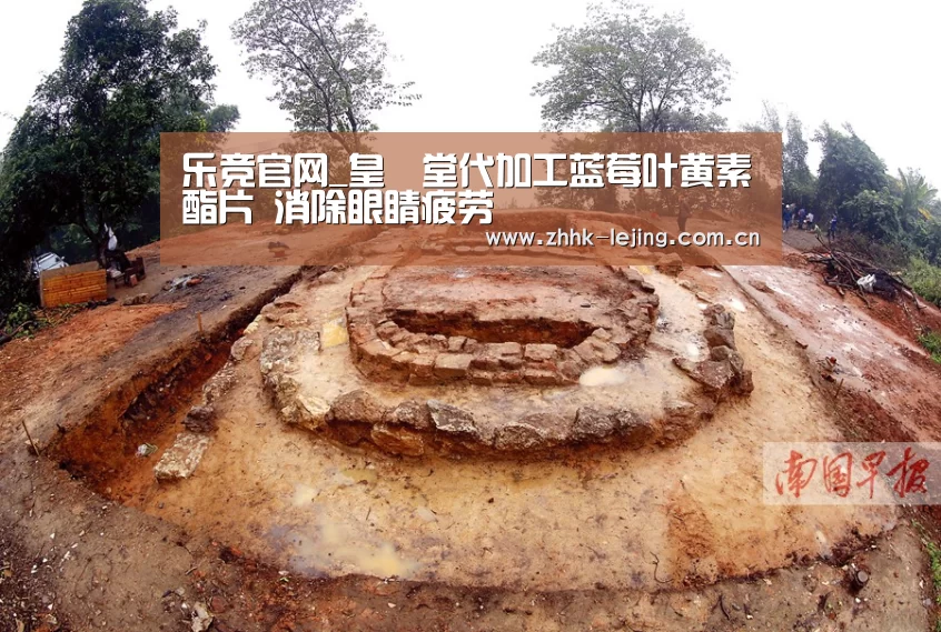 乐竞官网_皇菴堂代加工蓝莓叶黄素酯片 消除眼睛疲劳(图1) 乐竞官网