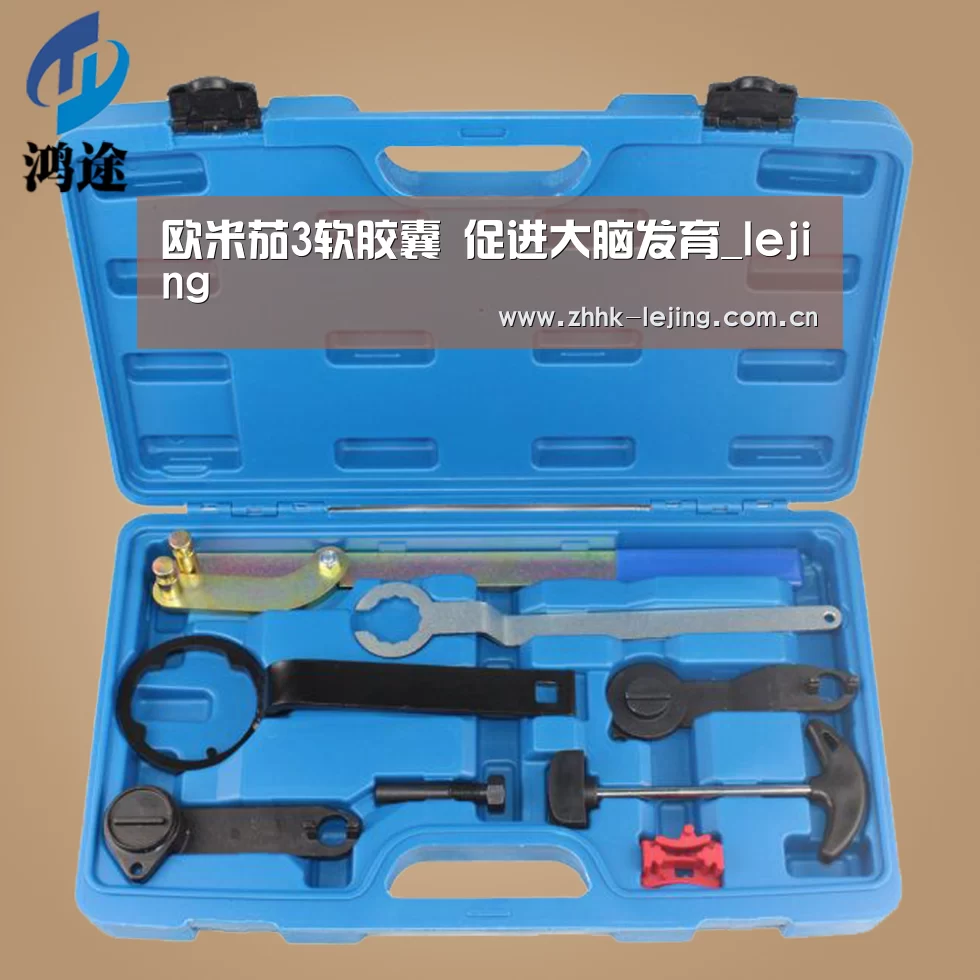 欧米茄3软胶囊 促进大脑发育_lejing(图1)